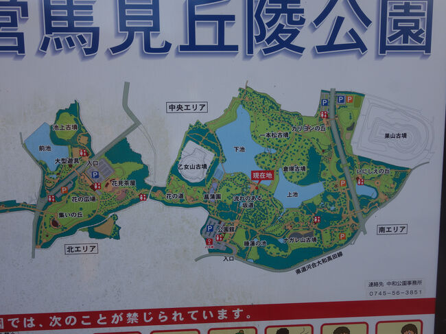 馬見丘陵公園でした。<br />お昼を食べに行きましょう。