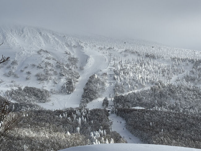 樹氷は残念でしたが、十分きれい雪景色にテンションが上がりました。