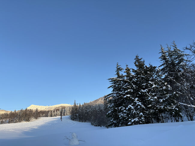 広々とした景色です。こちらのホテルはゲレンデにホテルから降りれるようで、そのままスキーができるようです。<br /><br />