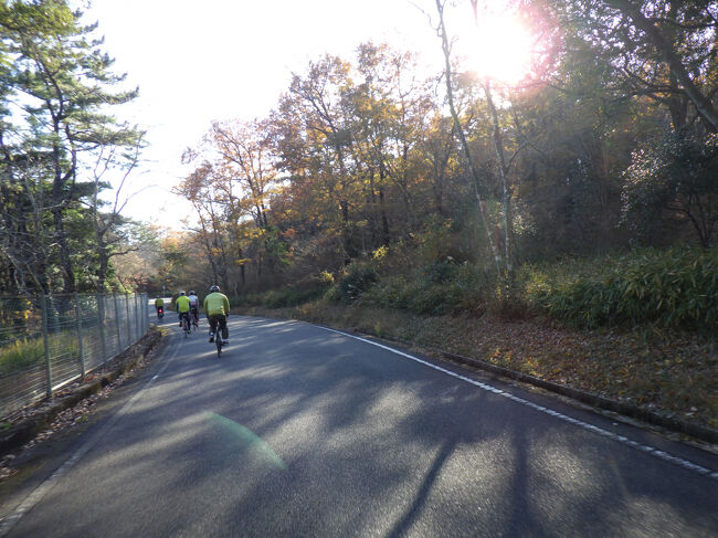 追加<br />１２月６～７日　所属する自転車仲間の忘年会が豊田市トヨタ労連研修センター・<br />つどいの丘であり、車に自転車を積み出かけました。<br />小原町の終わりかけの四季桜を見てきましたので・・