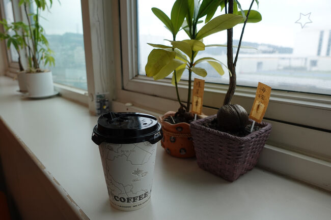 宿に持ち帰っていただくです。