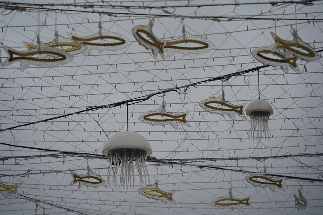 クラゲとかの下を通って、