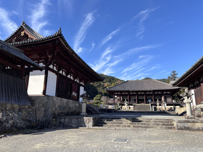 金堂 [重要文化財]<br /><br />国宝の弥勒仏坐像や重要文化材の四天王立像を見ることができます。講堂[重要文化財]にも、重要文化財の仏像が陳列されていました。<br /><br />見る価値は十分あるのですが、1,000円はちょっと高いですね(^-^;