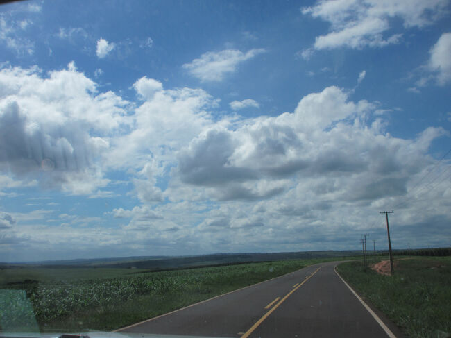 ３６０度見渡す限りの大農場
