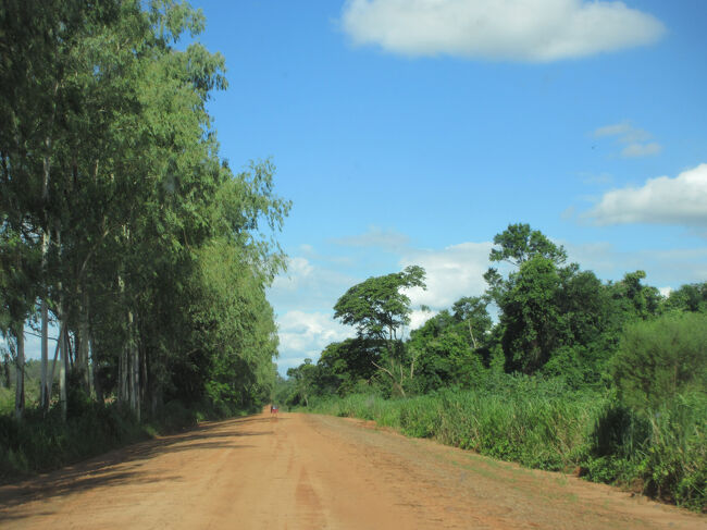 ファゼンダへの入口が分からず<br />　アスファルト道路を行ったり来たり