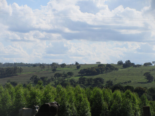 こんなところで彷徨えば時間などアッという間に過ぎて<br />　フェイラには１８時半に到着<br />いつも世話になってる多くの方々と出会えて良かったが。