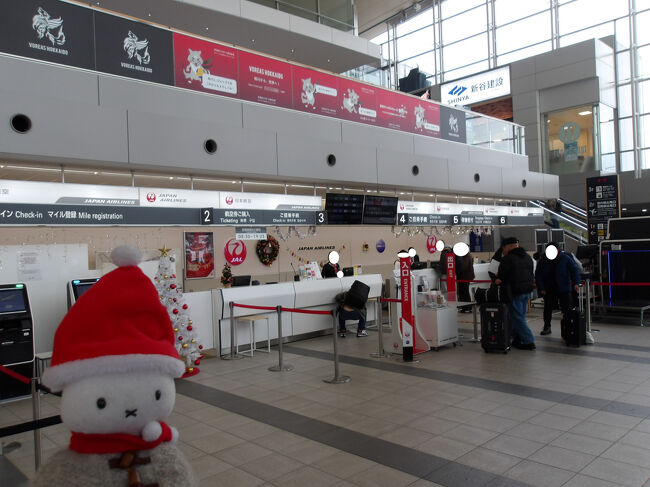 空いているうちにとっとと搭乗手続きを済ませて…、