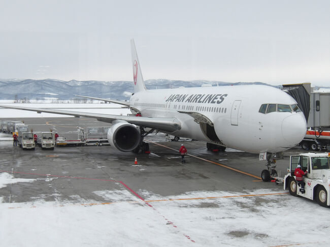 ラウンジを出て、保安検査を通って、搭乗へ。<br />行きと同様帰りもB767-300です。