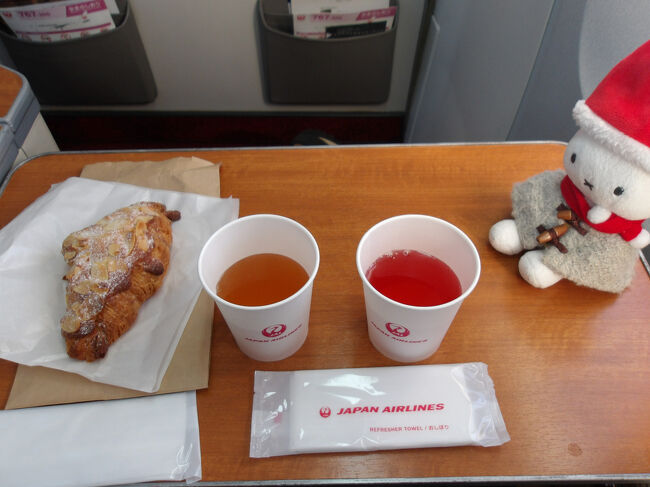 私の独り旅も念願だった相方のふるさとのオランダ訪問、そして南アフリカ喜望峰へ行ったこと。<br /><br />そうそう、国際博覧会、関西万博へ行ったのも良かったなぁ。<br />暑くて混んでて大変だったけど(;´Д｀)。<br />色んな思い出がふつふつと蘇ってきました。<br /><br />※コンソメスープとスカイタイムと共に左にあるクロワッサンは先ほどの旭川空港のMILK STAND esperioで購入したものです。