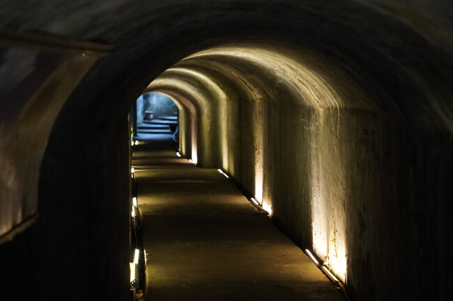 でもトンネルになってます。むちゃ天井低い。世代平均身長のおいさんも頭上注意です。