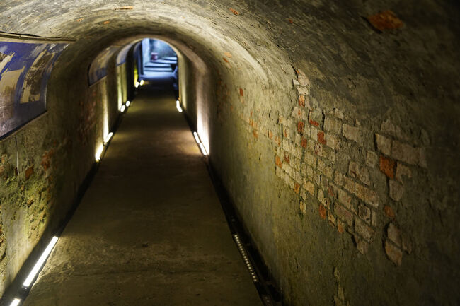 所々壁が剥がれて煉瓦見えとる。