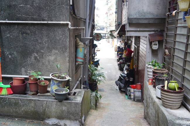 何処出たんやろってぇくらい生活感な路地。
