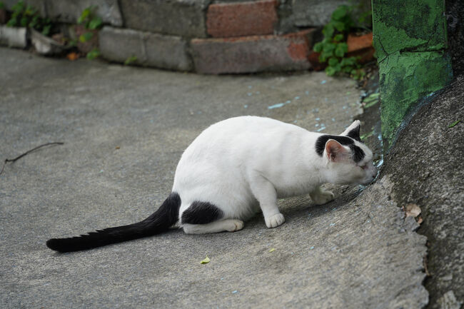 何かお探しで？