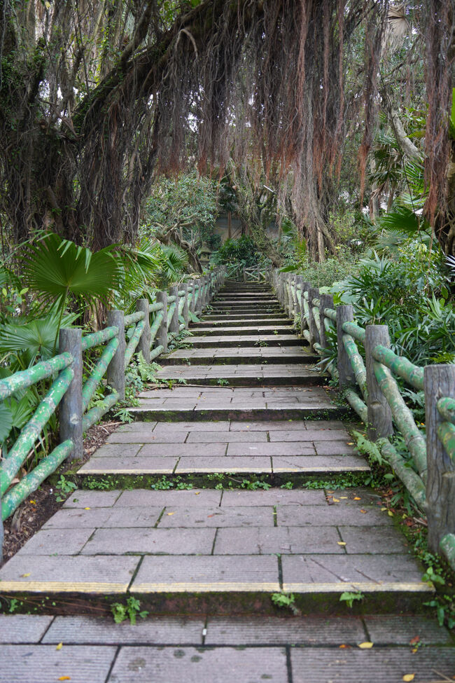 もう登山道でしたっけ？人専用ではあります。