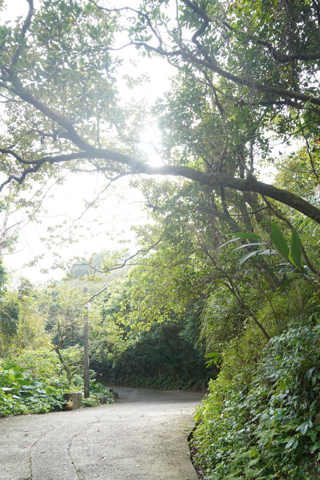 急に日差し。一瞬やったけど、ありがたい。