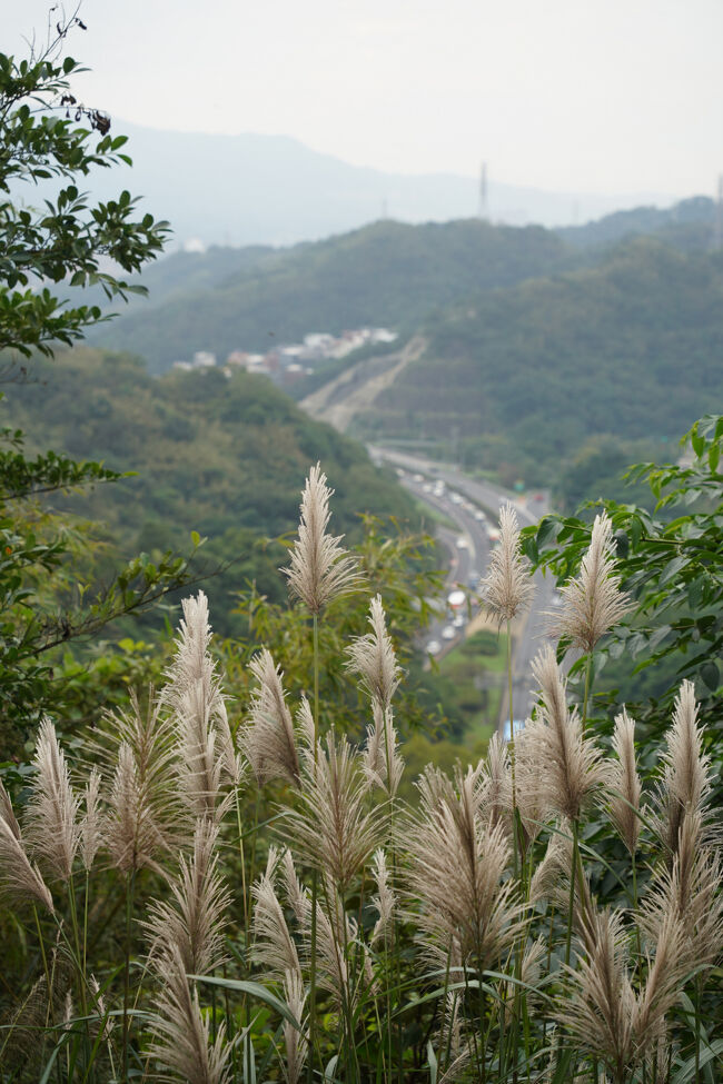 反対側は…のどかですなぁ。