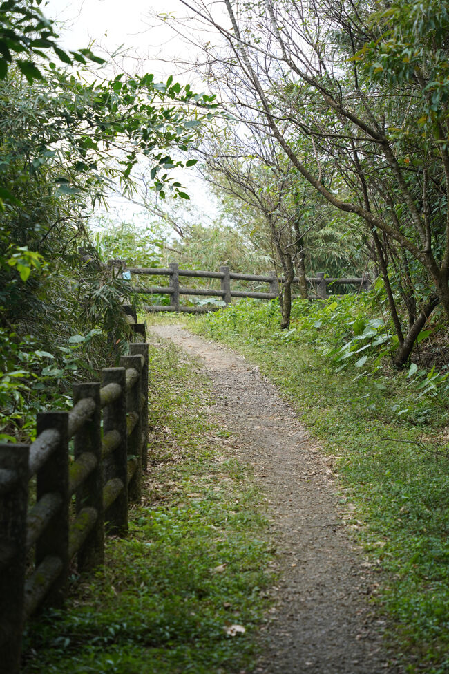 遊歩道やから、心配無いかな。