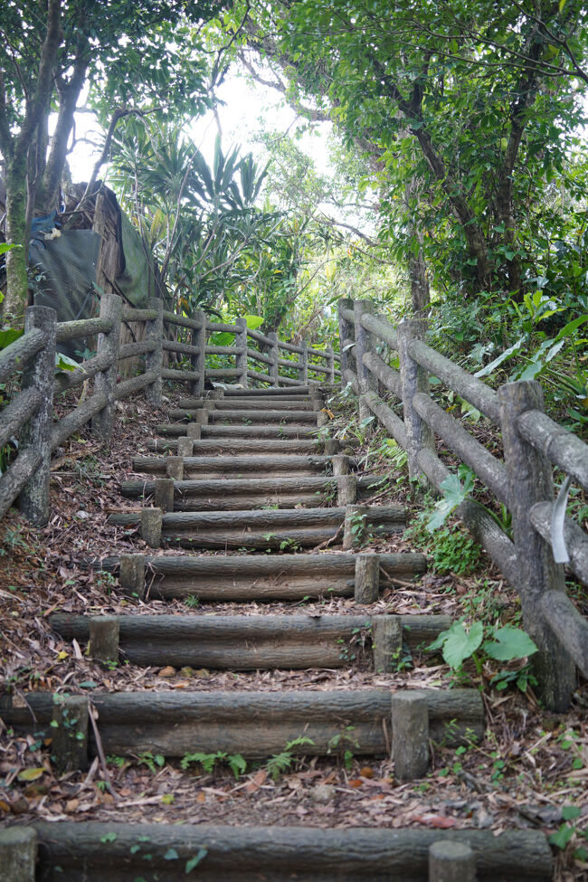 って事で中央砲台への階段。