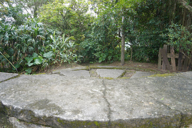 ここにデッカいのがいらしたんでしょうな。