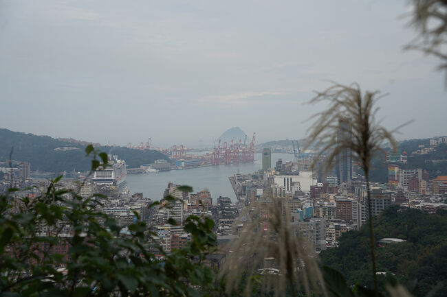砲台からの眺めは…尾花がよく育ってます？