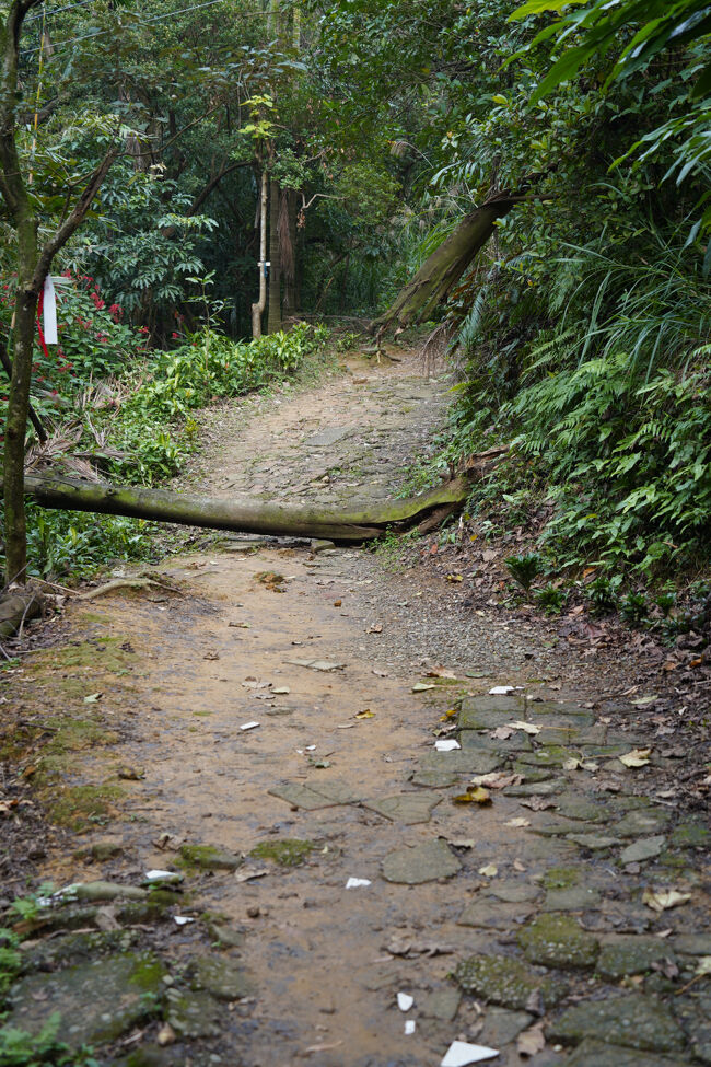 通せんぼも居ますね。
