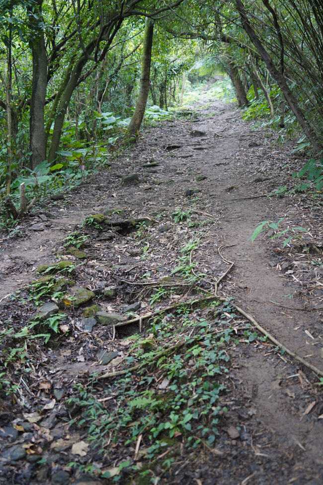 昨日は降ってましたし、泥濘んで…