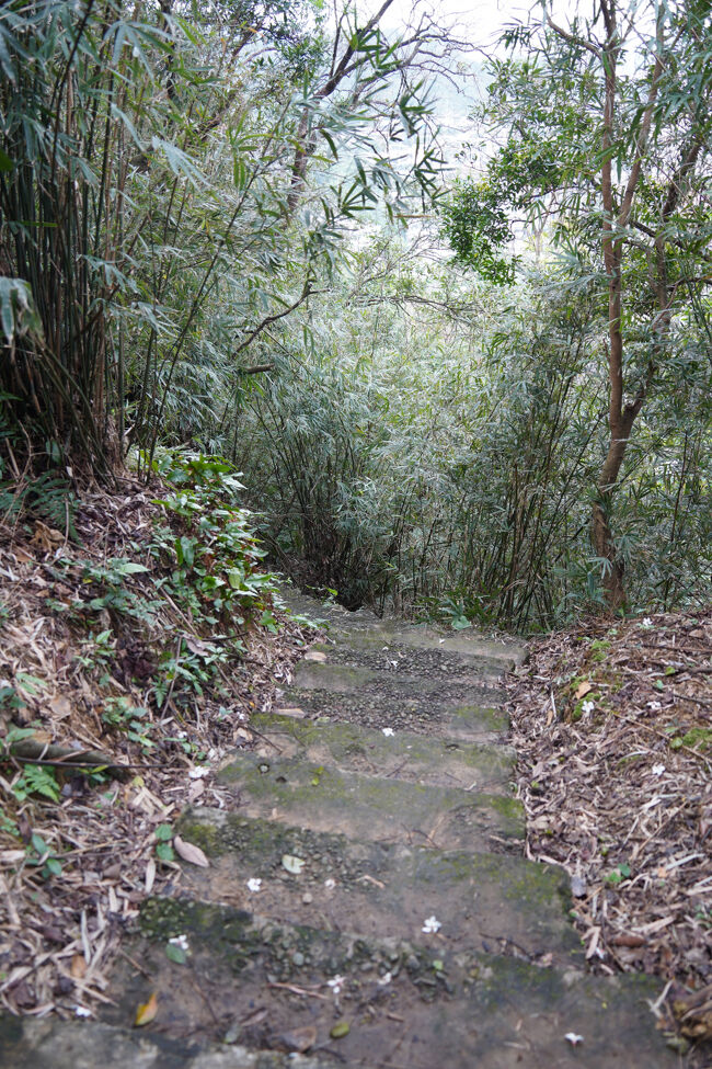 こっちもけっこしんどそう…体力的にと言うより、滑らんように気ぃ使うかも。