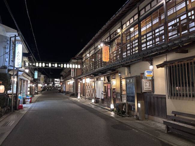 宿に帰るころにはすっかり暗くなり、温泉街にはたくさんの提灯が灯っていました。
