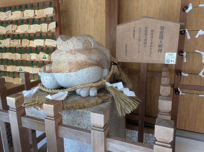 加恵瑠大明神が、