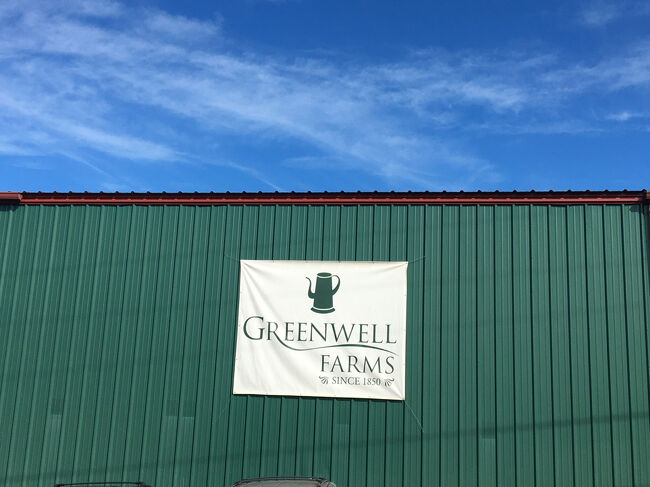 コーヒー農園巡り　１番手