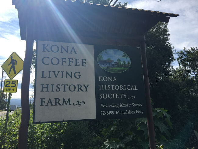 一度は来てみたいと思っていた場所。<br />フェスティバルのボタンを持っていると、入場料が＄５オフになります。