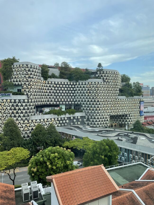 おはようございます。<br />シンガポール3日目の朝です。<br /><br />ちょっと雲が多くて今日も雨が降りそう。<br />ゆっくり起きて部屋でのんびり。