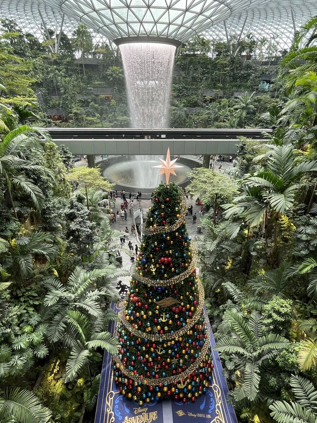 ジュエルはデイズニークリスマスだったわ。