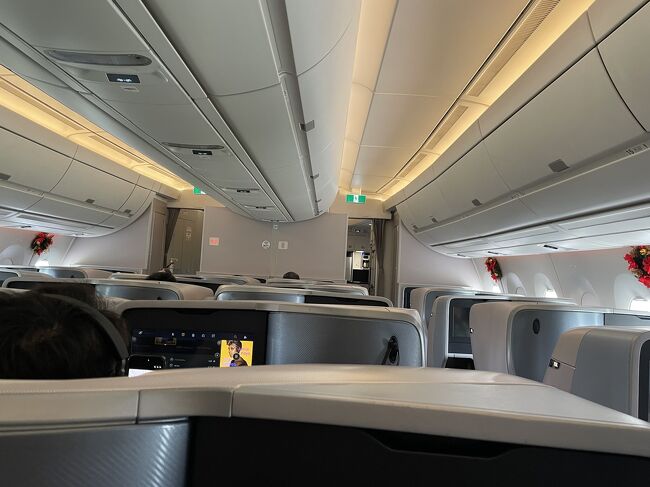 チャンギエアポートはゲートでセキュリティーチェックなのよね。<br /><br />そして。。。此処でタイの電子ビザの申請を忘れていた事に気が付いて、スマホで慌てて申請しました。<br />焦ったわ～。