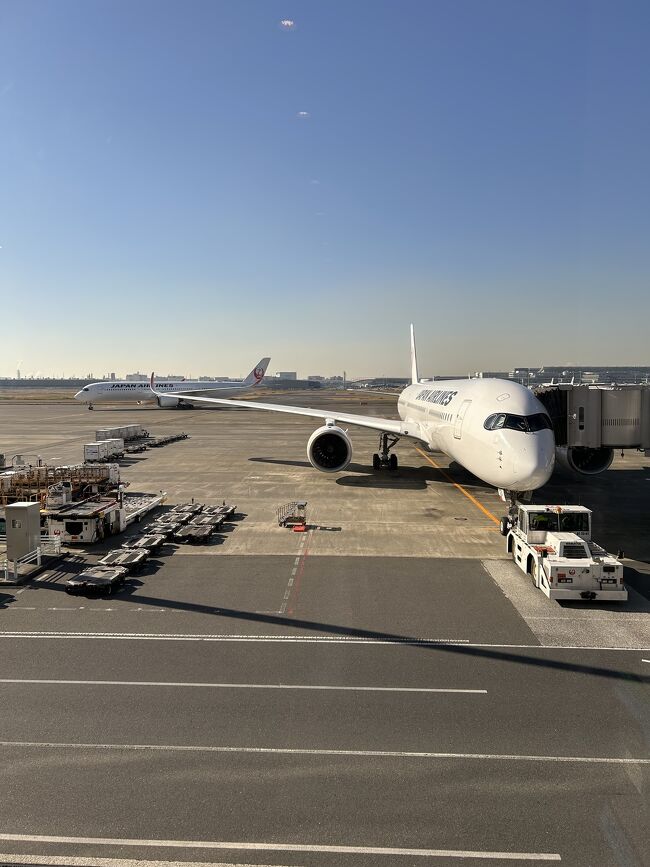 JALで行きます。