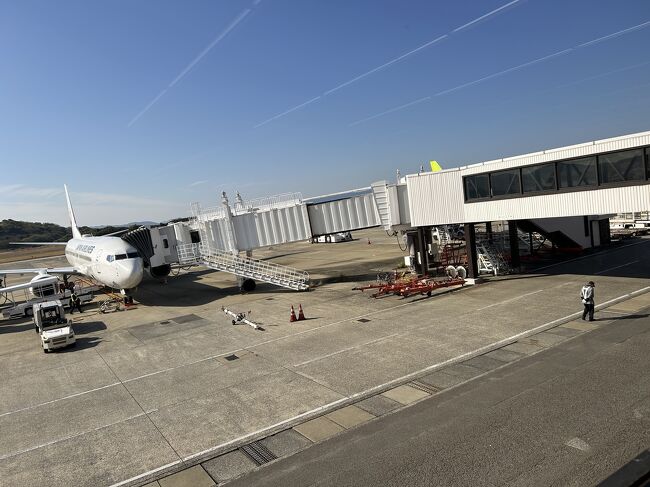 楽しい3泊4日　娘一家で可愛い孫と娘と婿さんと楽しい時間は終わり帰路につきます。