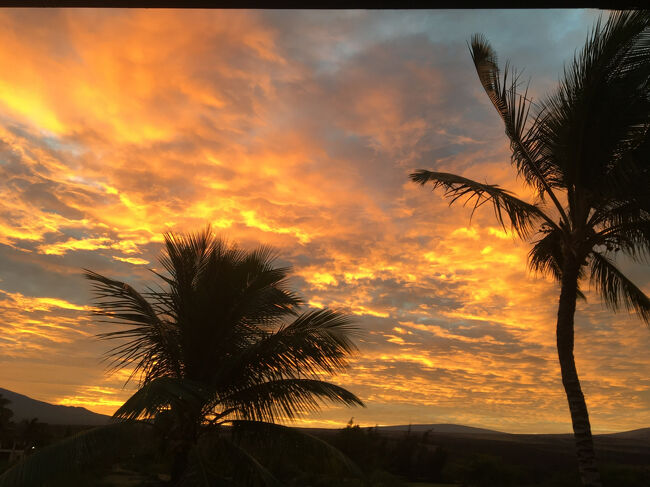 空がこんなにオレンジになったのは初めて
