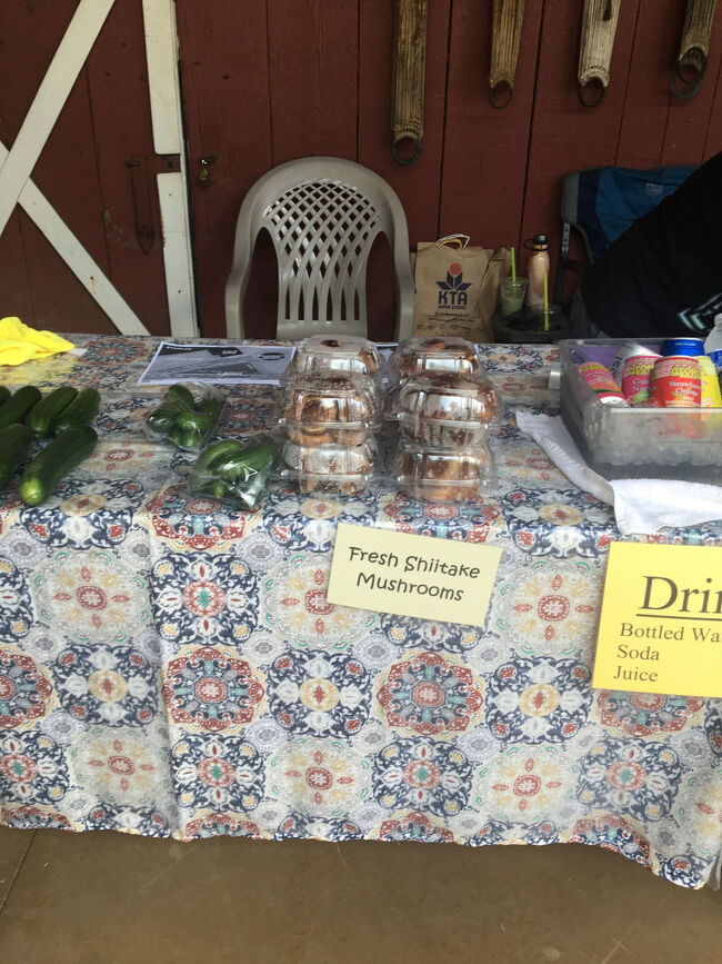 椎茸が栽培＆販売されてます