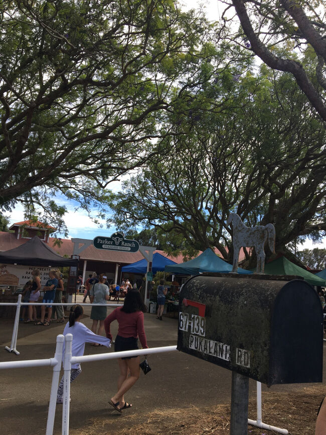 ロコが７割、観光客が３割くらいの割合