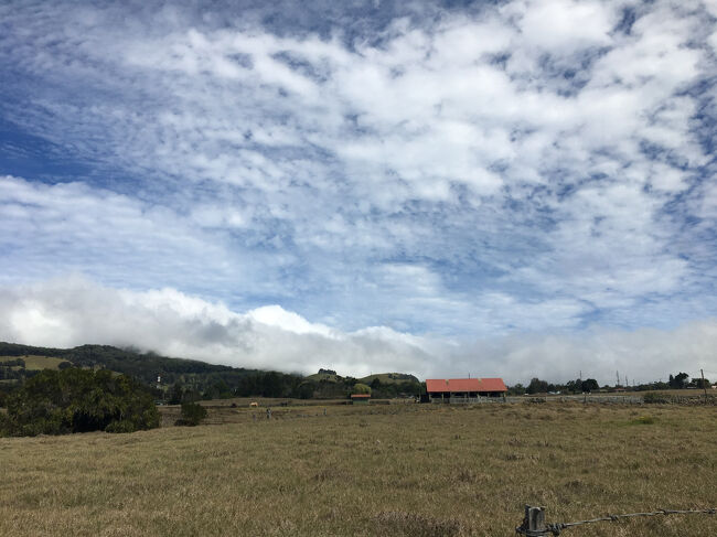 庭に普通に馬がいる風景