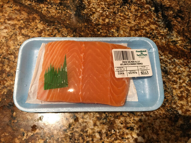 綺麗なサーモンをゲット