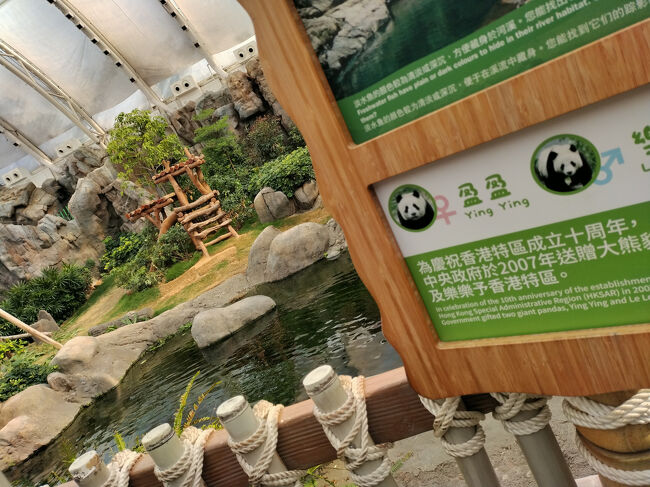 こちらは双子パンダの親パンダエリア