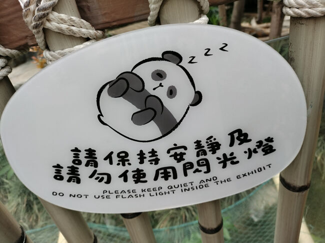 さて、パンダは快適な屋内施設にいます。<br />パンダをびっくりさせないように、静かに、そしてフラッシュは禁止ですよ