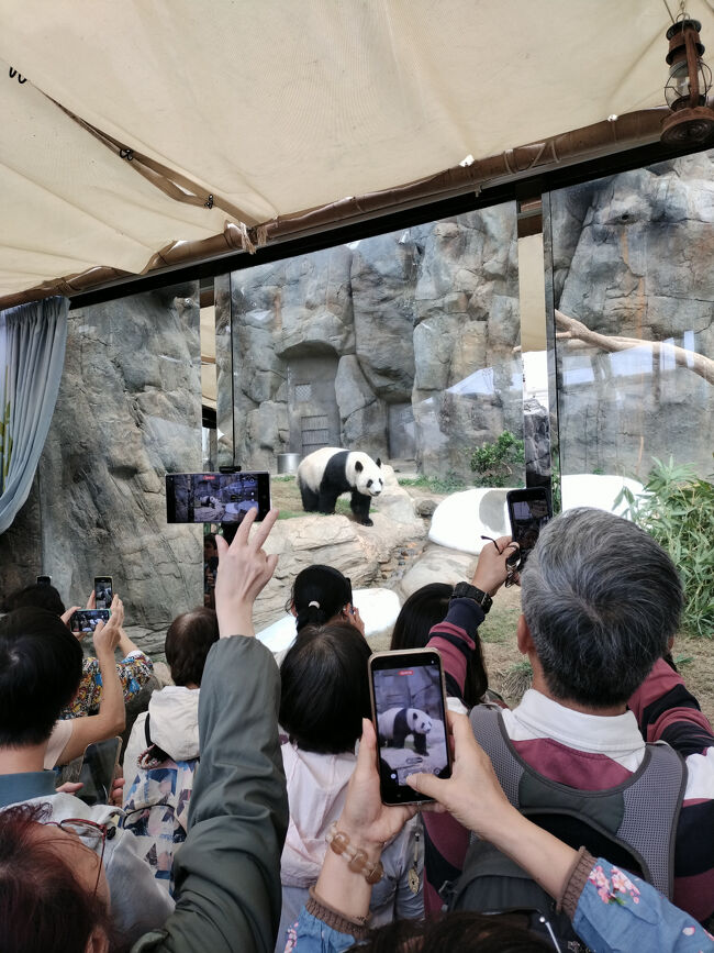 ちょうどご飯の時間だったらしく、すごい人
