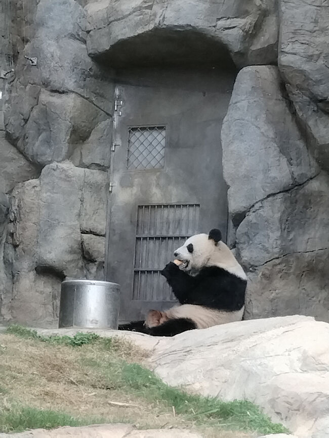 でも、タケノコのほうが好きみたい