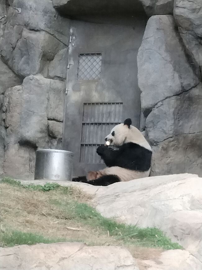 寄りかかって食べている姿かわいい