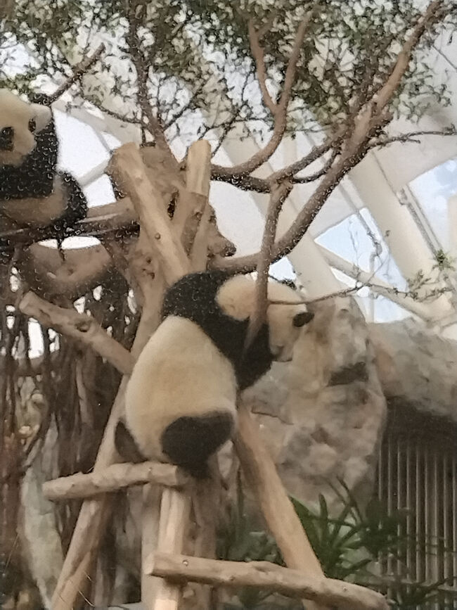 もうちょとだー<br />