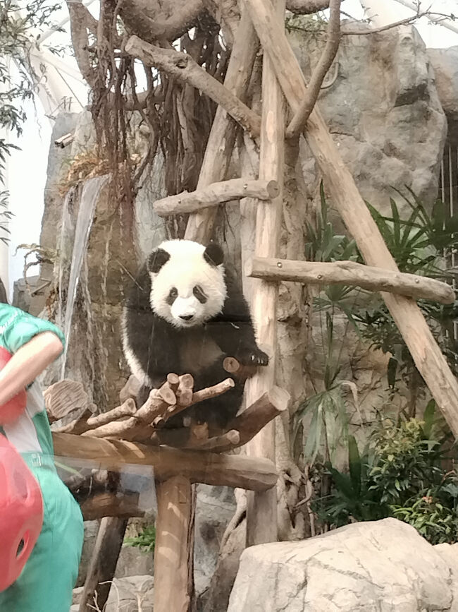 なかなか相手にしてもらえません