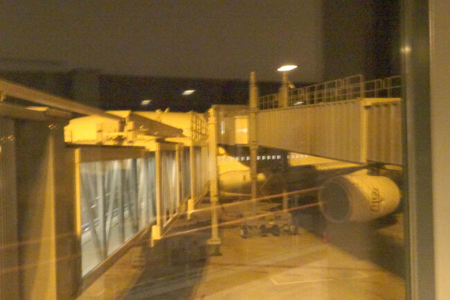 ビジネスクラスは2階のため、エコノミーと搭乗口が異なります