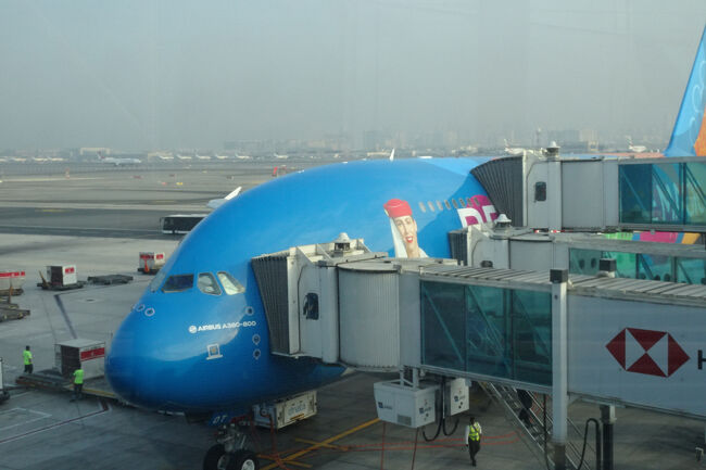 今度のA380は特別塗装の機体